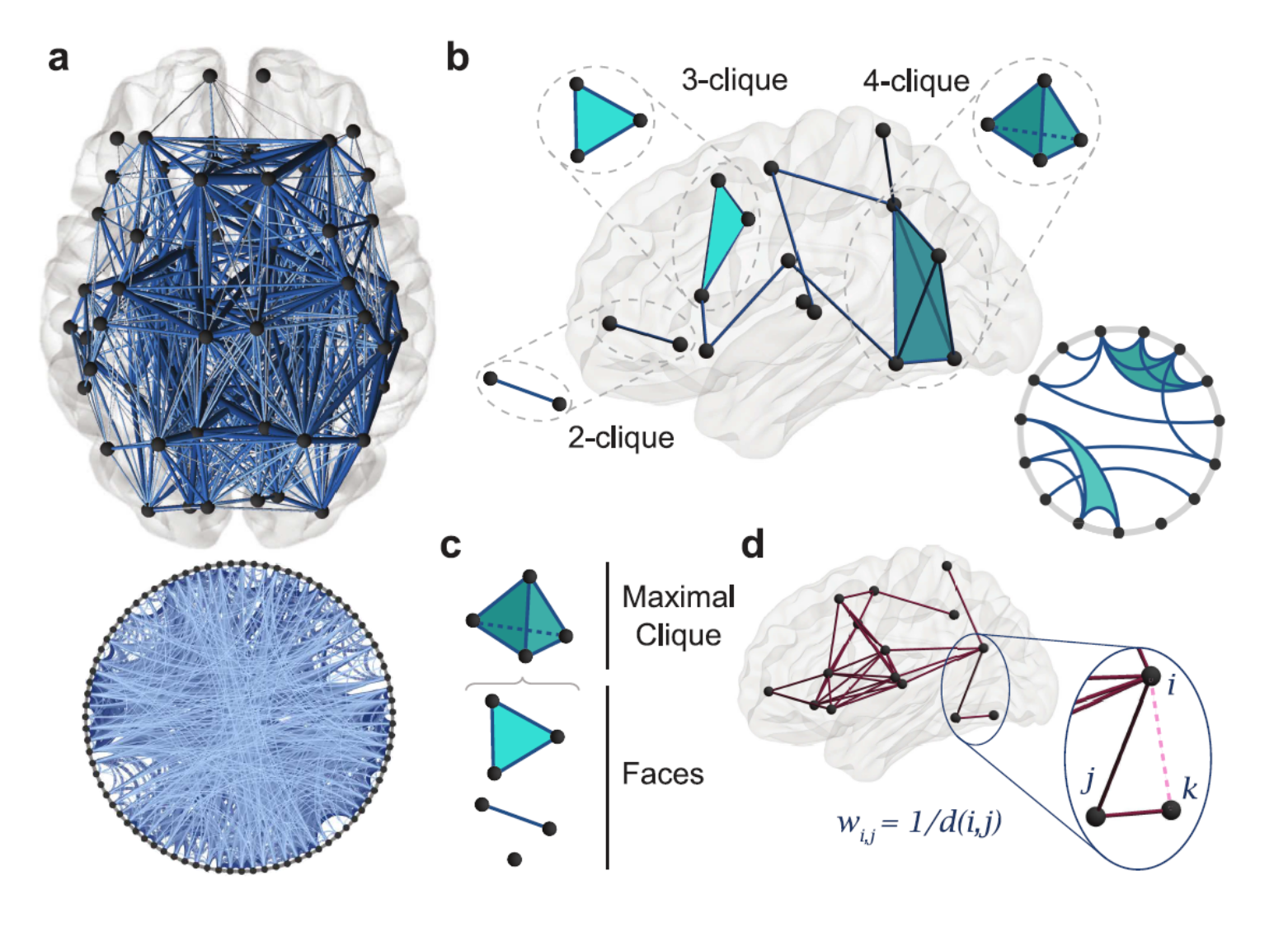 Local Neighborhoods in Structural Brain Networks