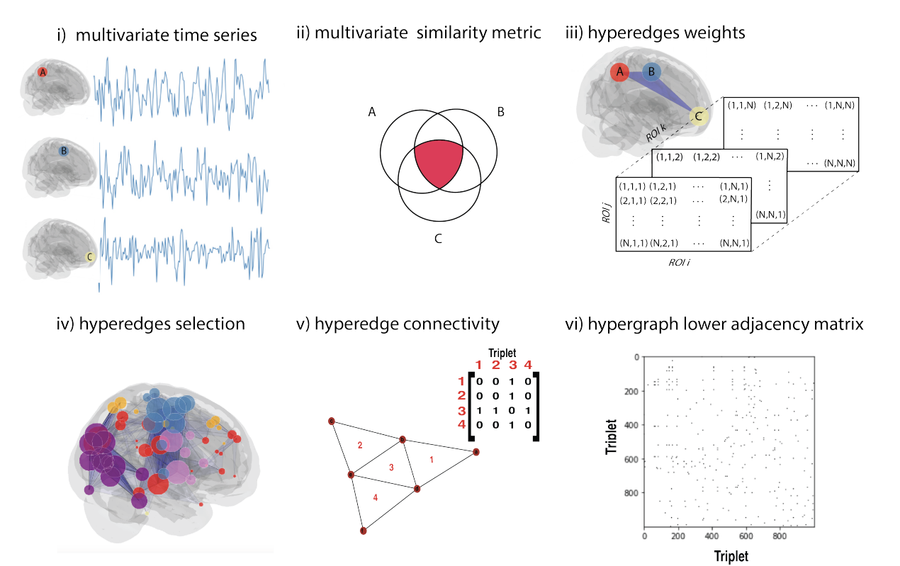 Higher Order Brain Methodology Figures