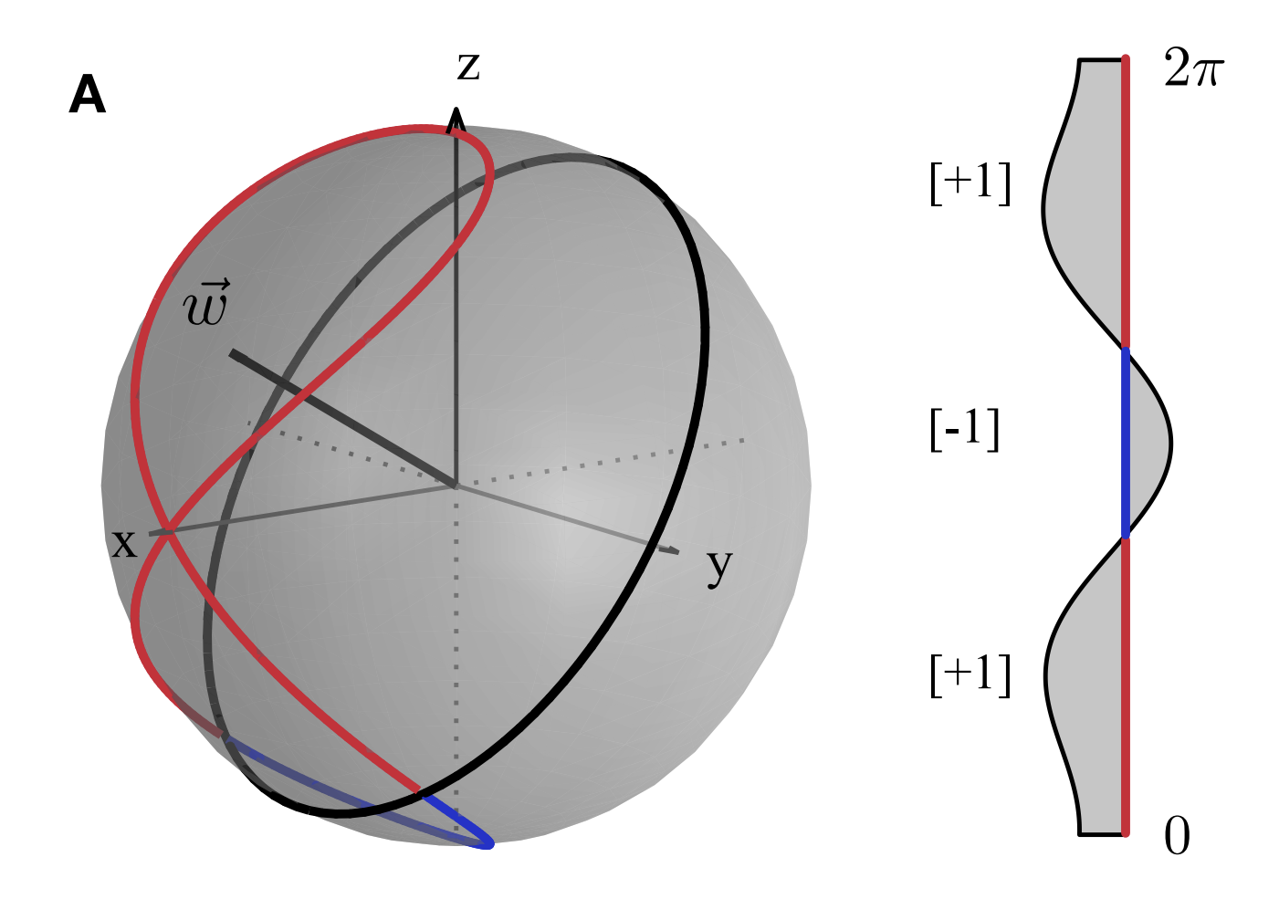 Short Depth Quantum Circut