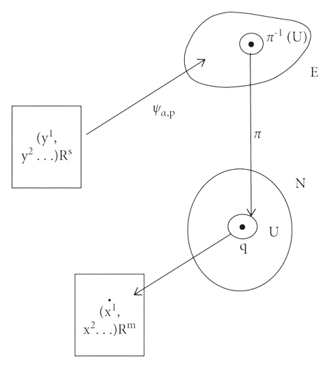 Vector bundle on the manifold